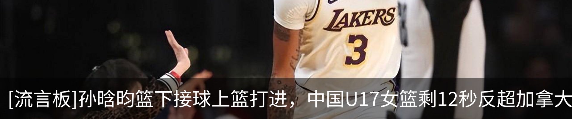 最新动态